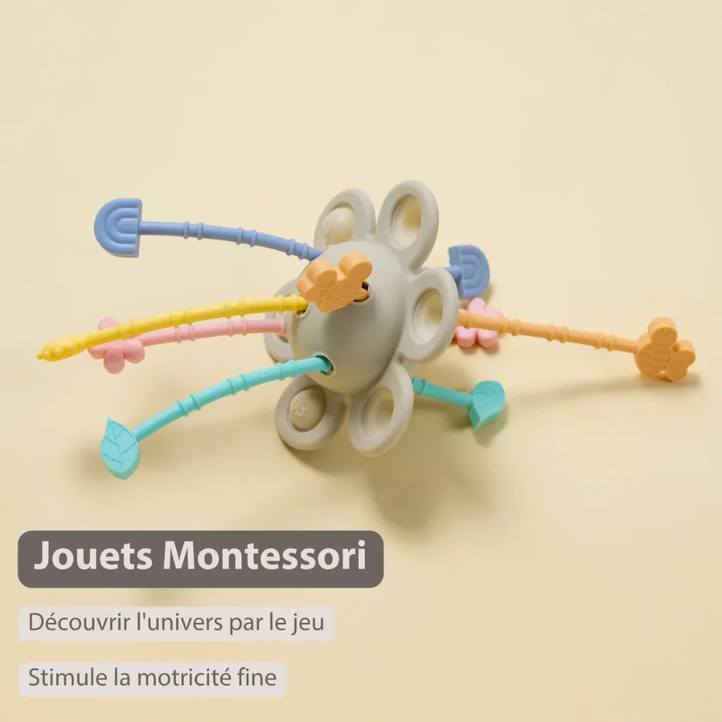 5414673873253_FR_2_7a6a5465-ae02-45dd-93b6-7ebb3bd8688c.webp