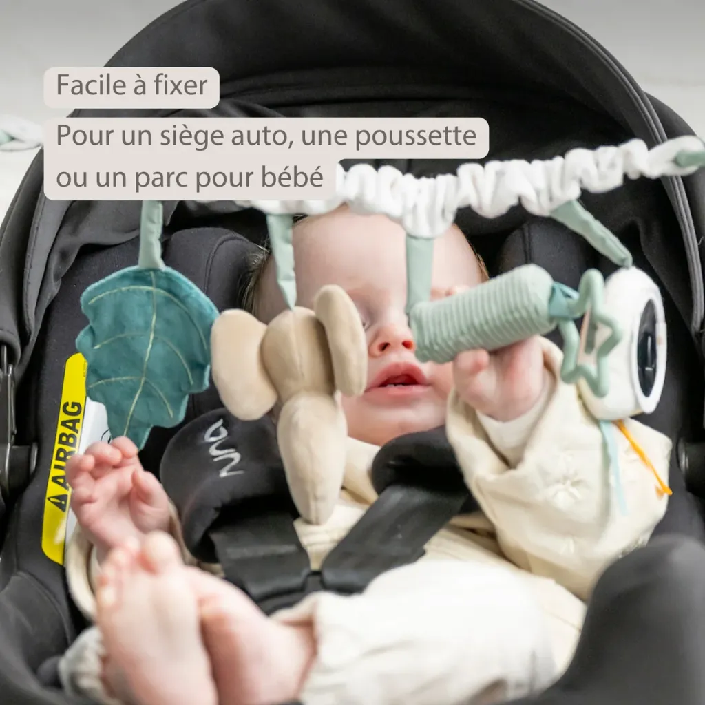 5414673873499_FR_4_112d2d3b-4843-469c-845d-37e6297161cf.webp
